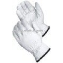 Goatskin Driver Gloves ZM120-L